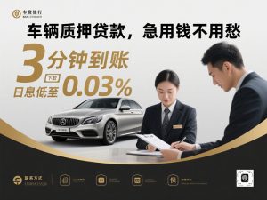 车辆质押贷款